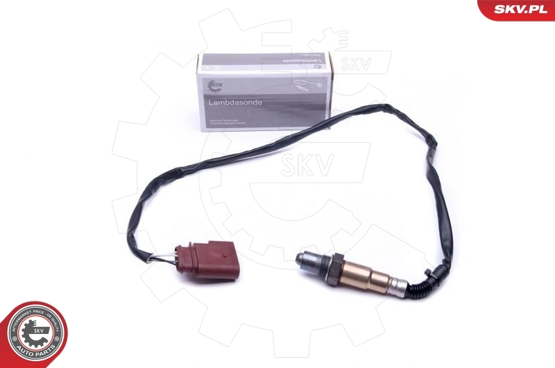Oxygen Sensor